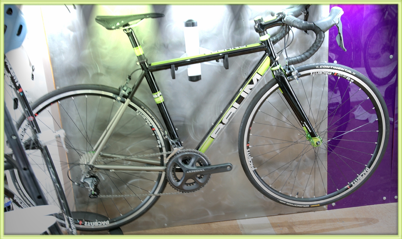 prestige_baum_green