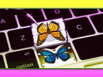 butterfly_keyboard
